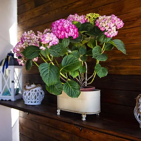 Casa I Gerani Vista Mare